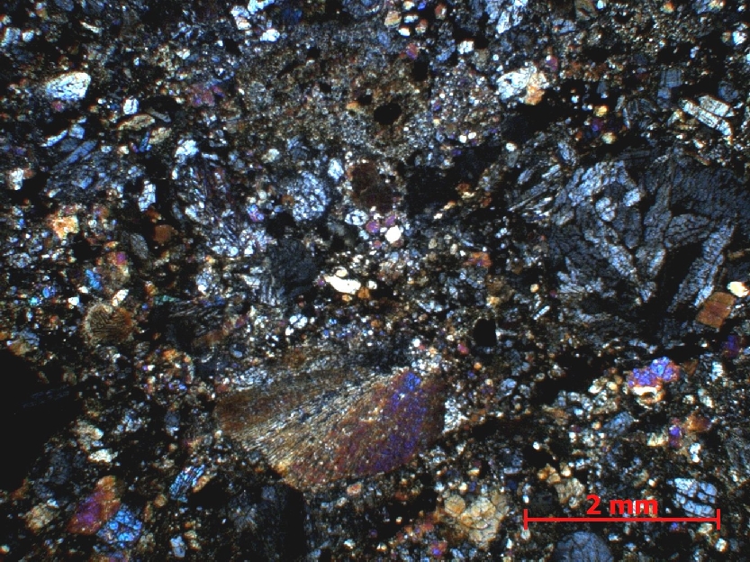  Microscope Chondrite ordinaire Chondrite ordinaire L4/5    