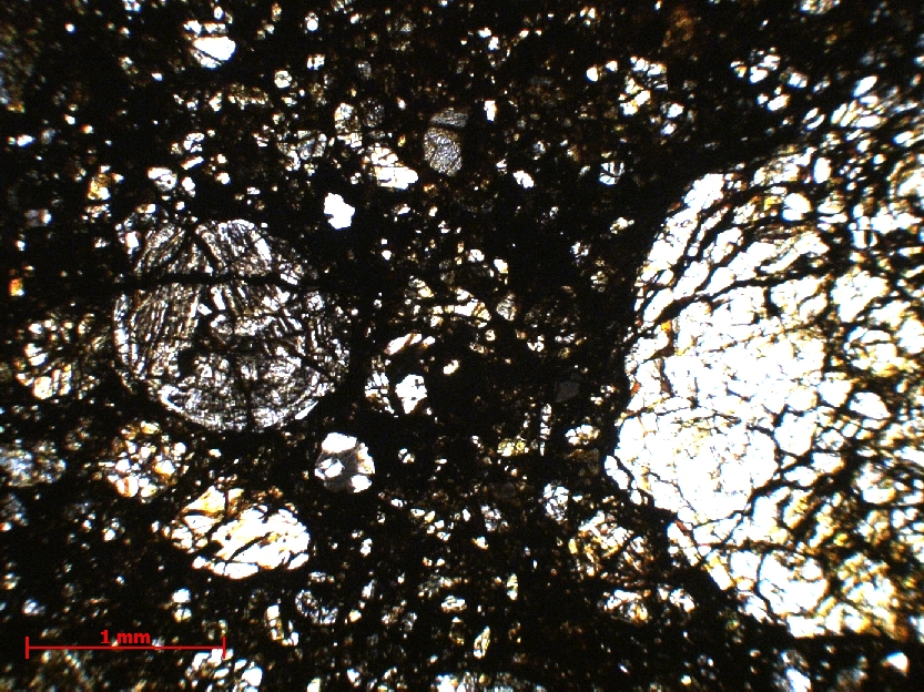  Microscope Chondrite ordinaire Chondrite ordinaire L3.8 (S3, W3)    