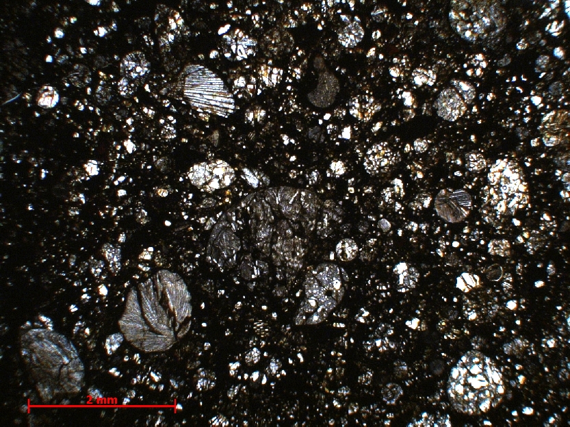  Microscope Chondrite ordinaire Chondrite ordinaire L3.8 (S3, W3)    