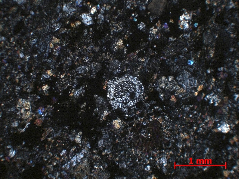  Microscope Chondrite ordinaire Chondrite ordinaire    