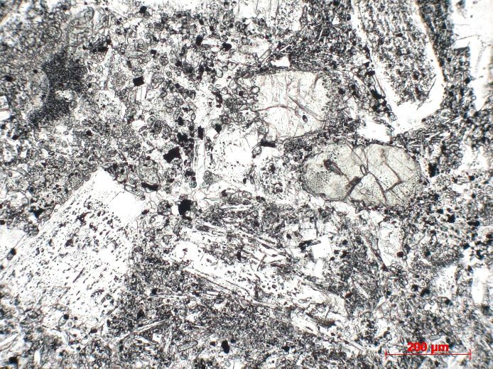  Microscope Basalte Basalte porphyrique du Stromboli Iles éoliennes Stromboli  