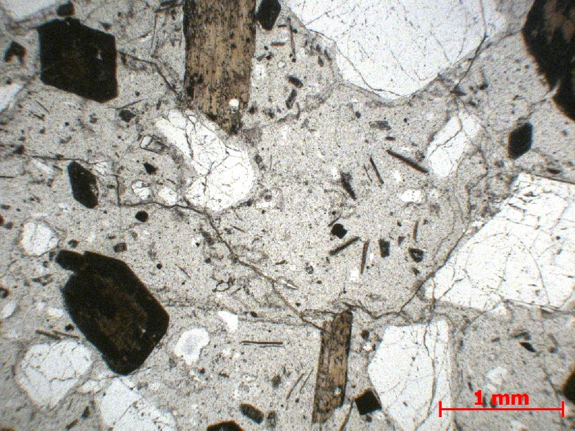  Microscope Dacite Dacite Cordillère des Andes Quilotoa  Rio Toachi