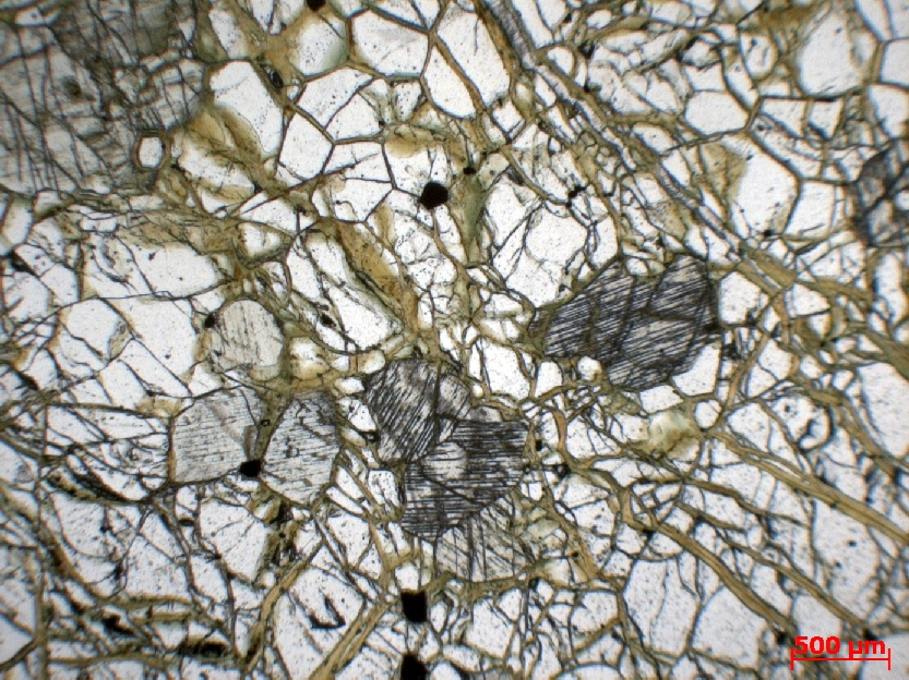  Microscope Wehrlite Cumulat à olivine et clinopyroxène du Kakoulima Complexe de Kakoulima Mont Kakoulima  