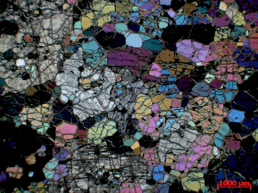  Microscope Wehrlite Cumulat à olivine et clinopyroxène du Kakoulima Complexe de Kakoulima Mont Kakoulima  