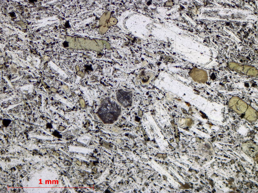  Microscope Téphrite à haüyne Ordanchite Massif central Mont Dore Orcival 
