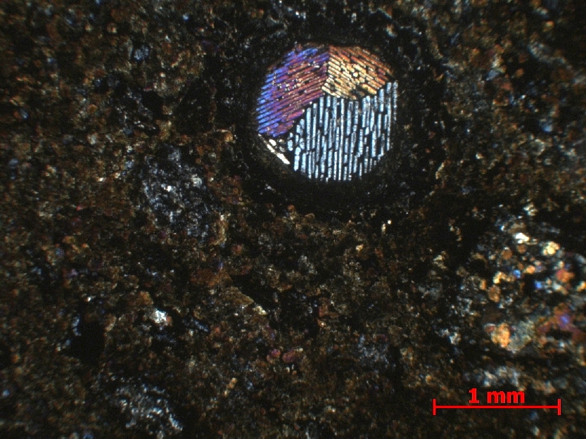  Microscope Chondrite carbonée Chondrite carbonée  CK3.8    