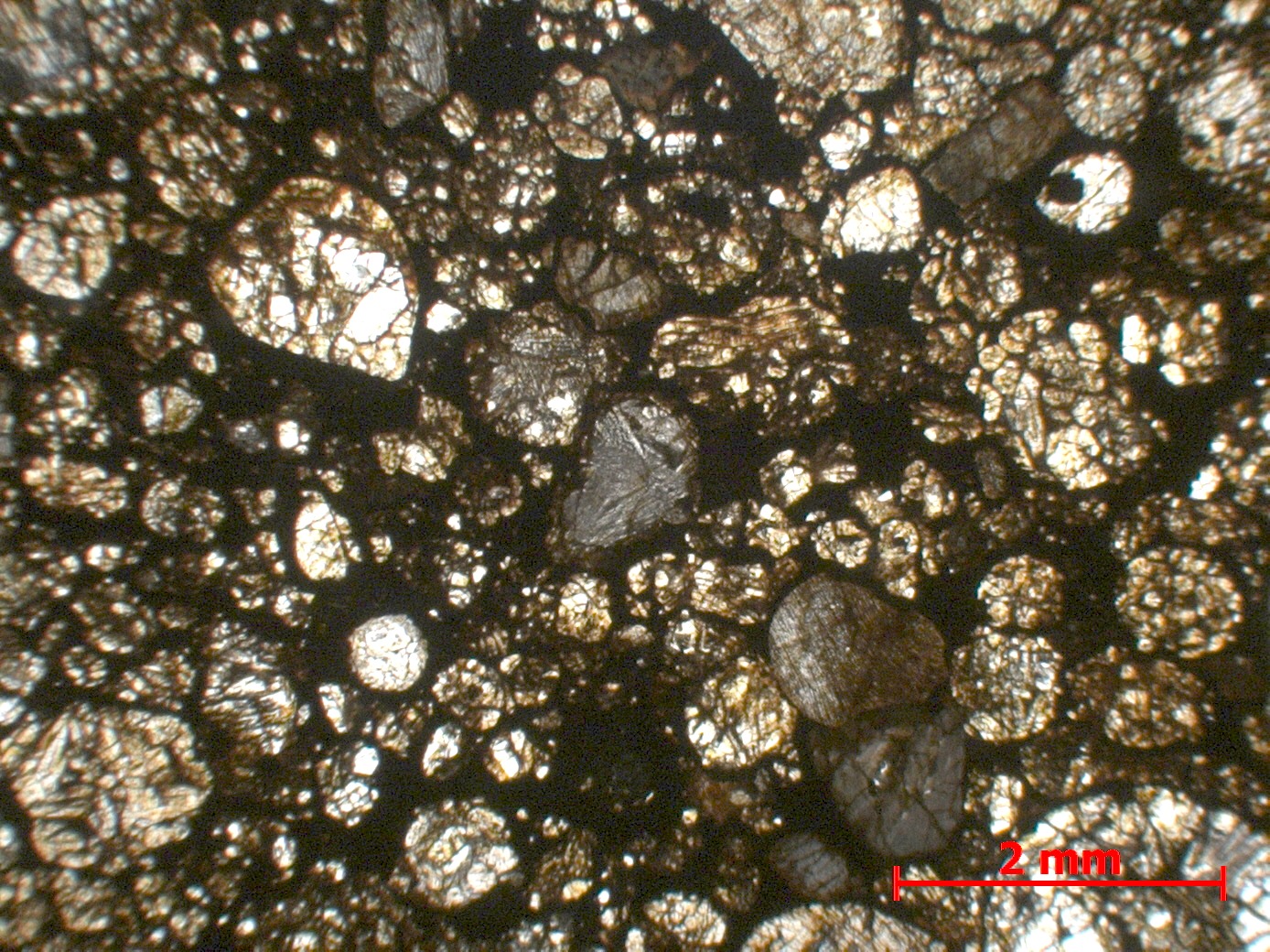Chondrite ordinaire Chondrite ordinaire L3 (S2, W3)    