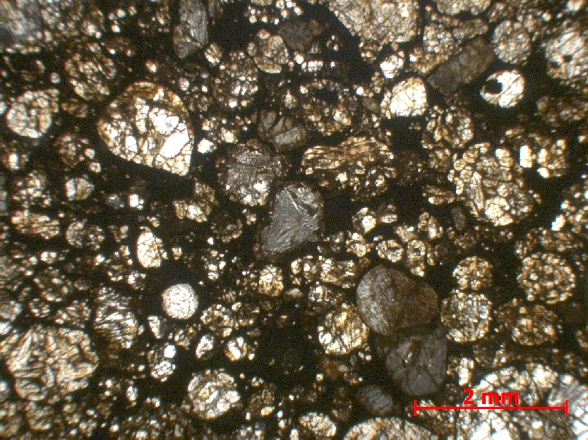  Microscope Chondrite ordinaire Chondrite ordinaire L3 (S2, W3)    