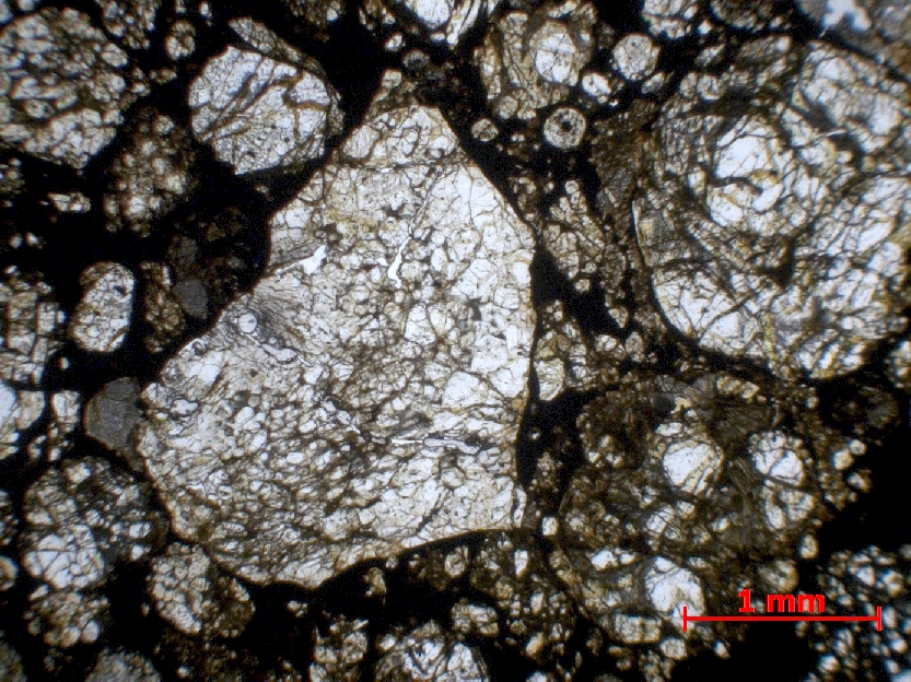  Microscope Chondrite ordinaire Chondrite ordinaire L3 (S2, W3)    