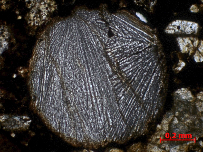  Microscope Chondrite ordinaire Chondrite ordinaire L3 (S3, W3)    