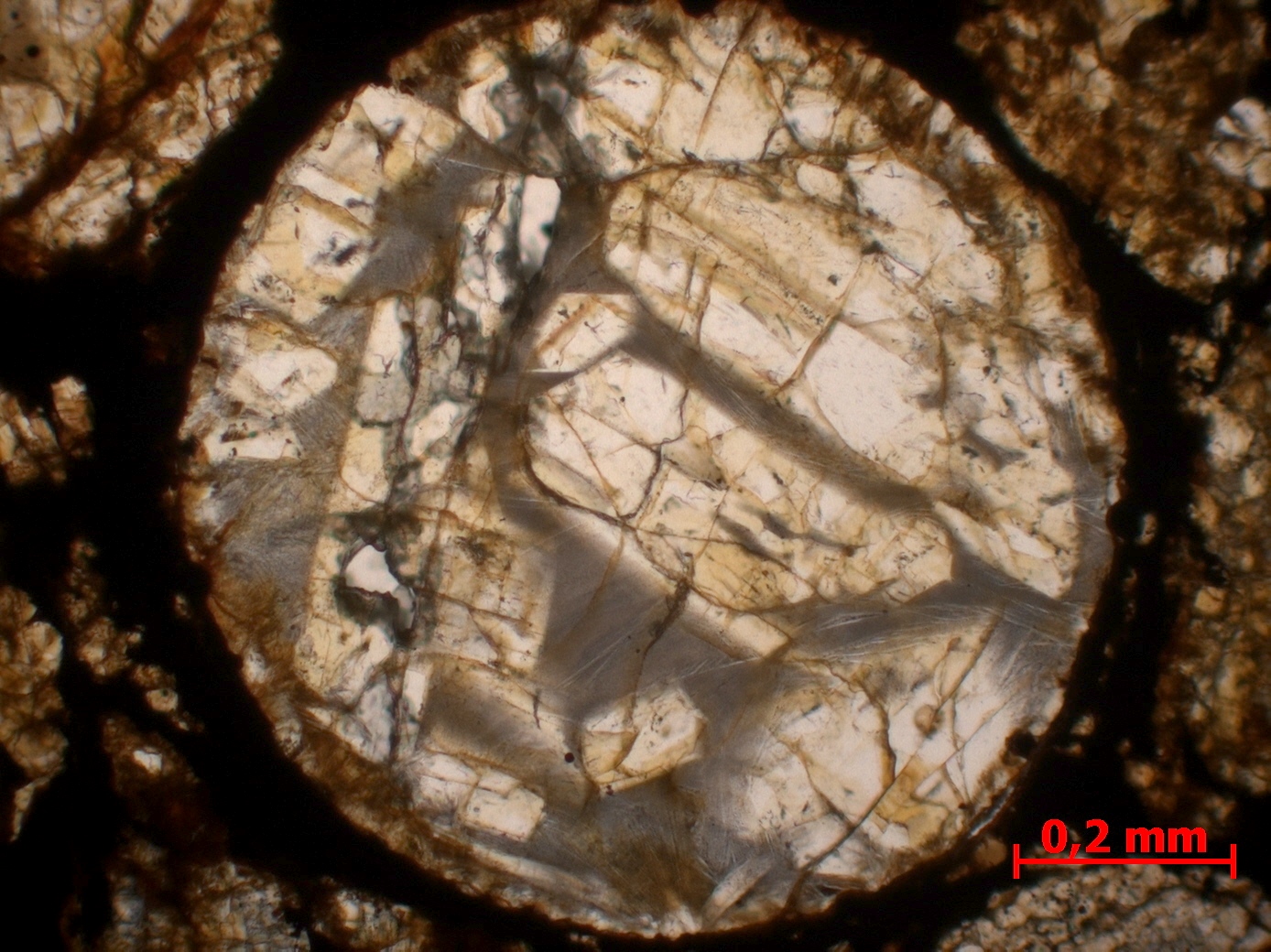 Chondrite ordinaire Chondrite ordinaire L3 (S2, W3)    