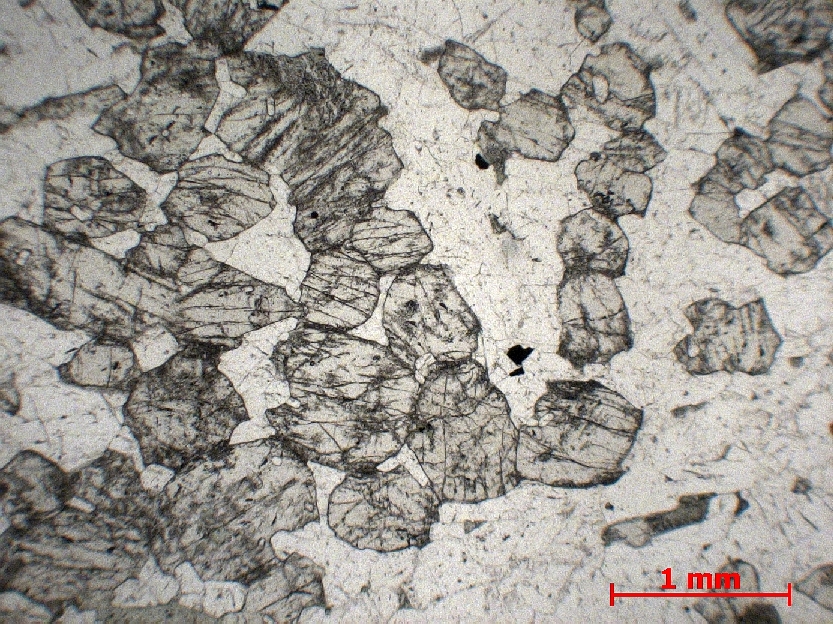  Microscope Gabbro Microgabbro isotrope Monts Hajar   
