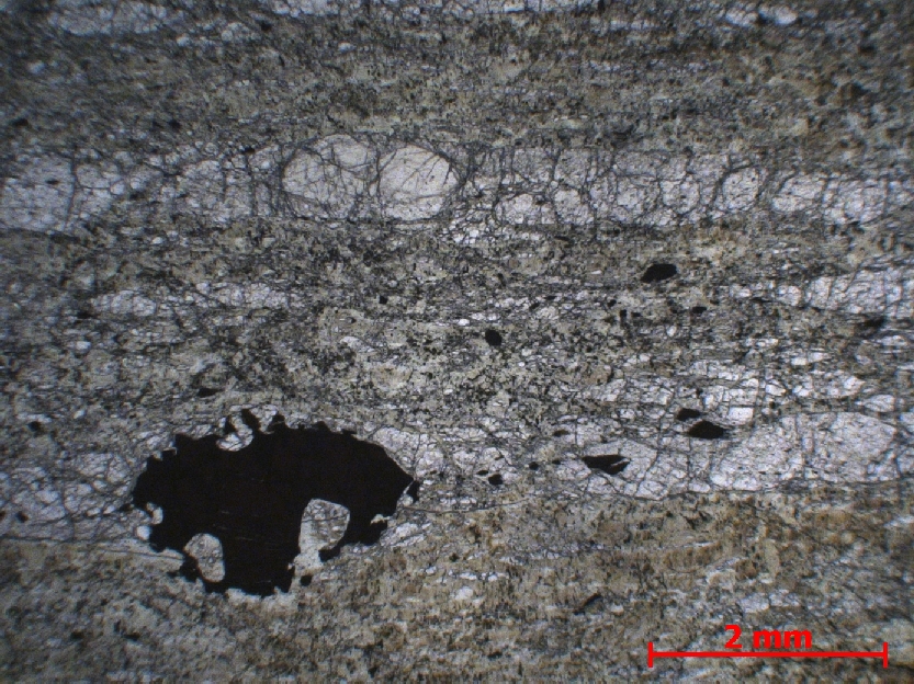  Microscope Mylonite de harzburgite Mylonite de harzburgite Monts Hajar Wadi Tayin  