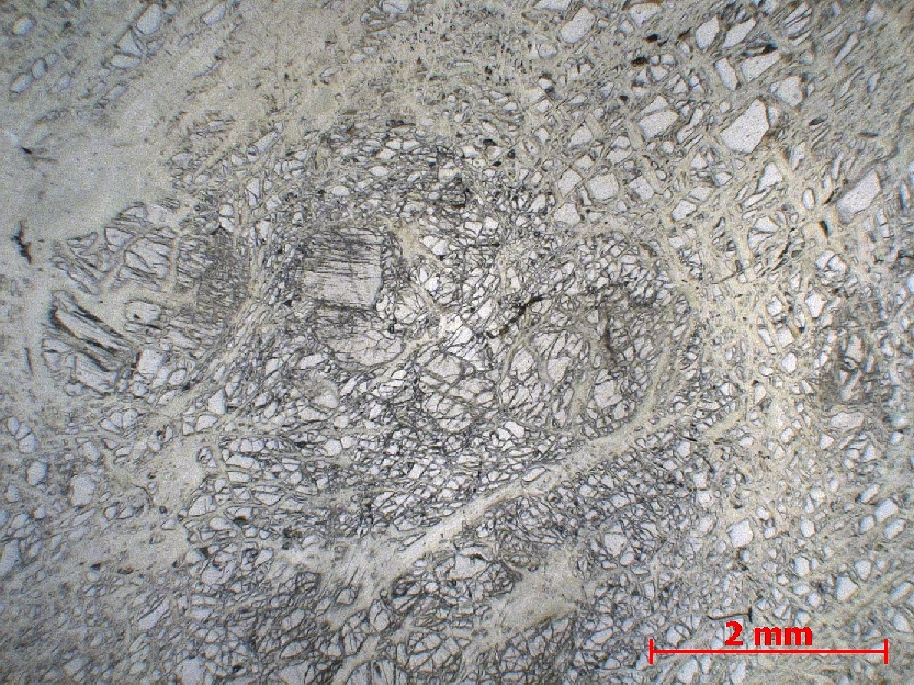  Microscope Harzburgite Harzburgite serpentinisée Monts Hajar   