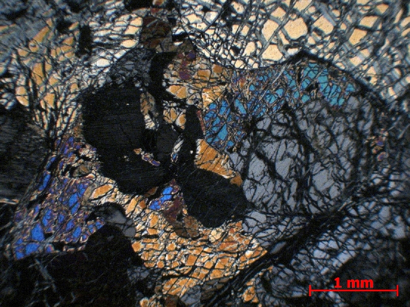  Microscope Harzburgite Harzburgite serpentinisée Monts Hajar   