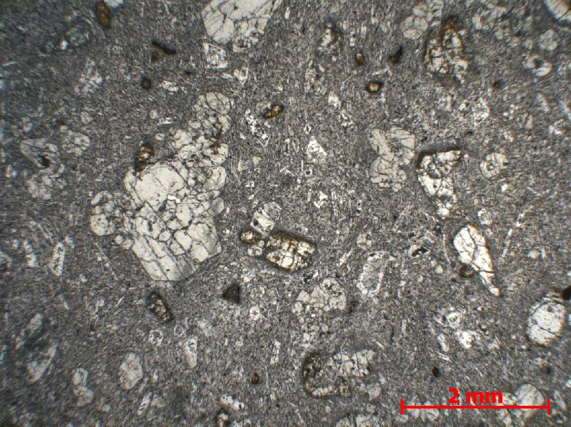  Microscope Basalte Basalte Petites Antilles Morne la Plaine Les Anses d’Arlet Mapou
