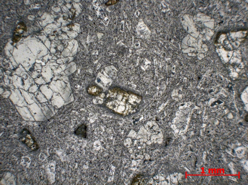  Microscope Basalte Basalte Petites Antilles Morne la Plaine Les Anses d’Arlet Mapou