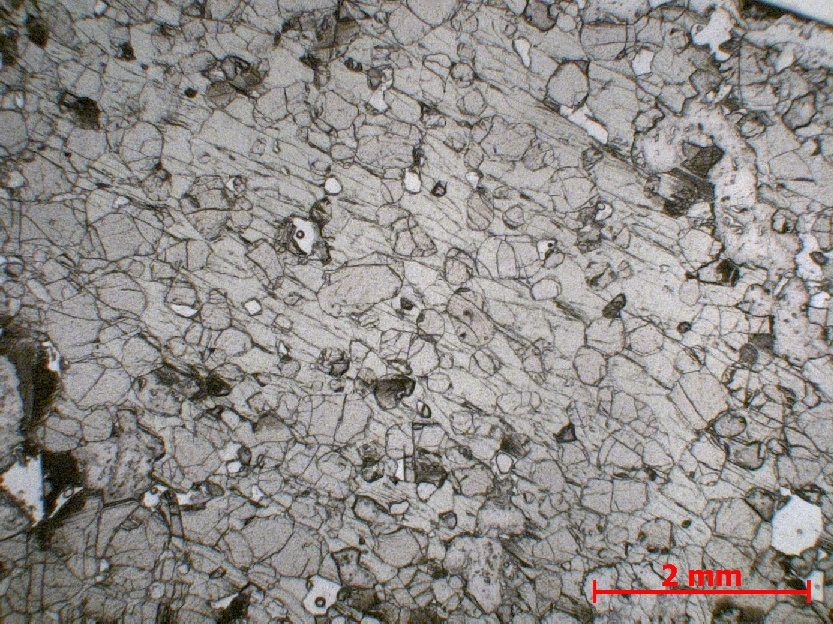  Microscope Pyroxénite Pyroxénite du complexe magmatique du Bushveld Bushveld Bushveld, zone critique, Merenski Reef  Maandagshoek