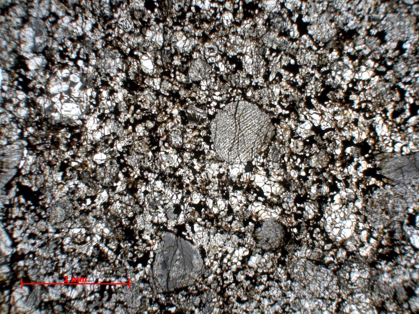 Chondrite ordinaire Chondrite ordinaire H4 (S2, W4-5)    