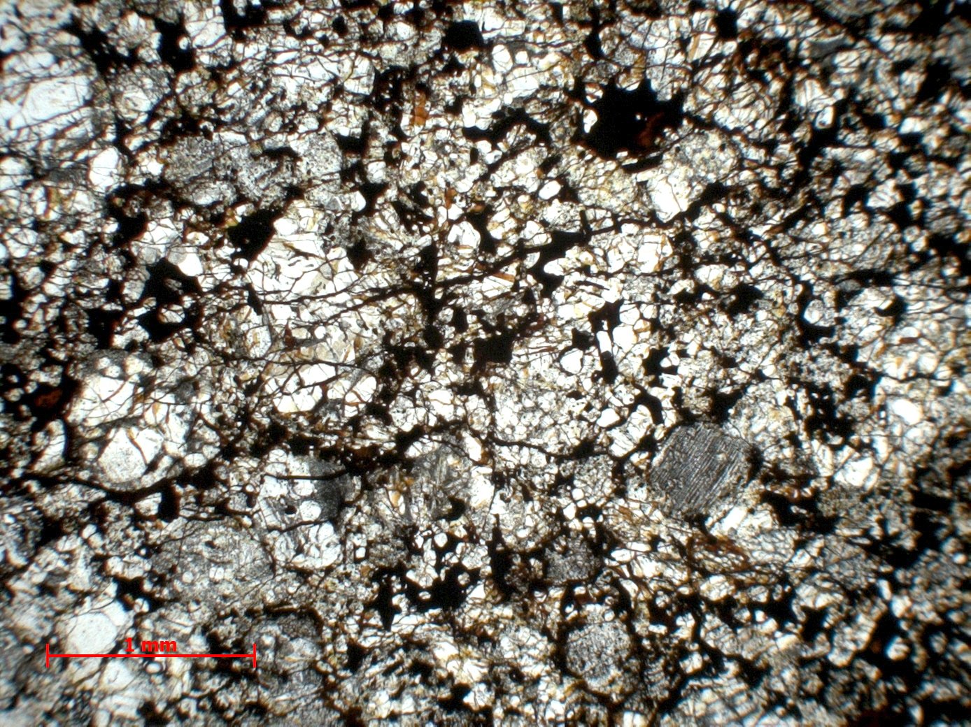 Chondrite ordinaire Chondrite ordinaire H4 (S2, W4-5)    