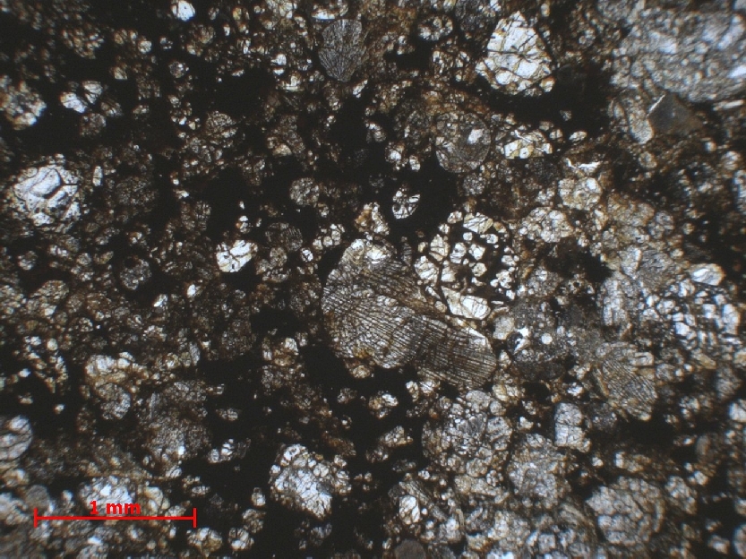 Microscope Chondrite ordinaire Chondrite ordinaire H5 (S3, W2)    
