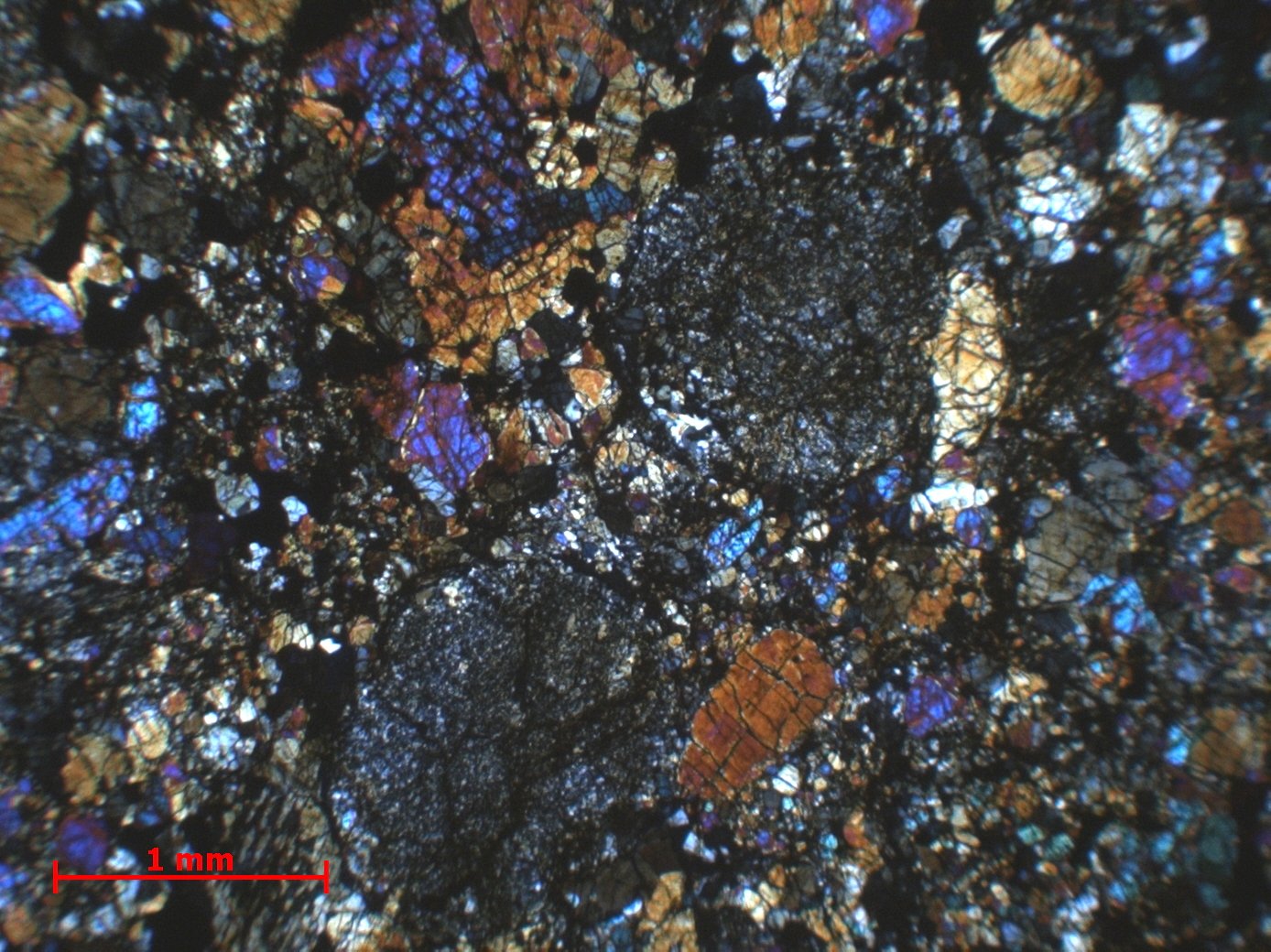 Chondrite ordinaire Chondrite ordinaire L6 (S1/2, W2) Sahara Tanezrouft  