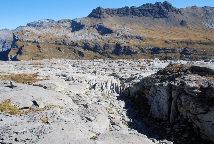 Calcaire à discocyclines Calcaire à Discocyclina Alpes Massif des Fiz Flaine Désert de Platé