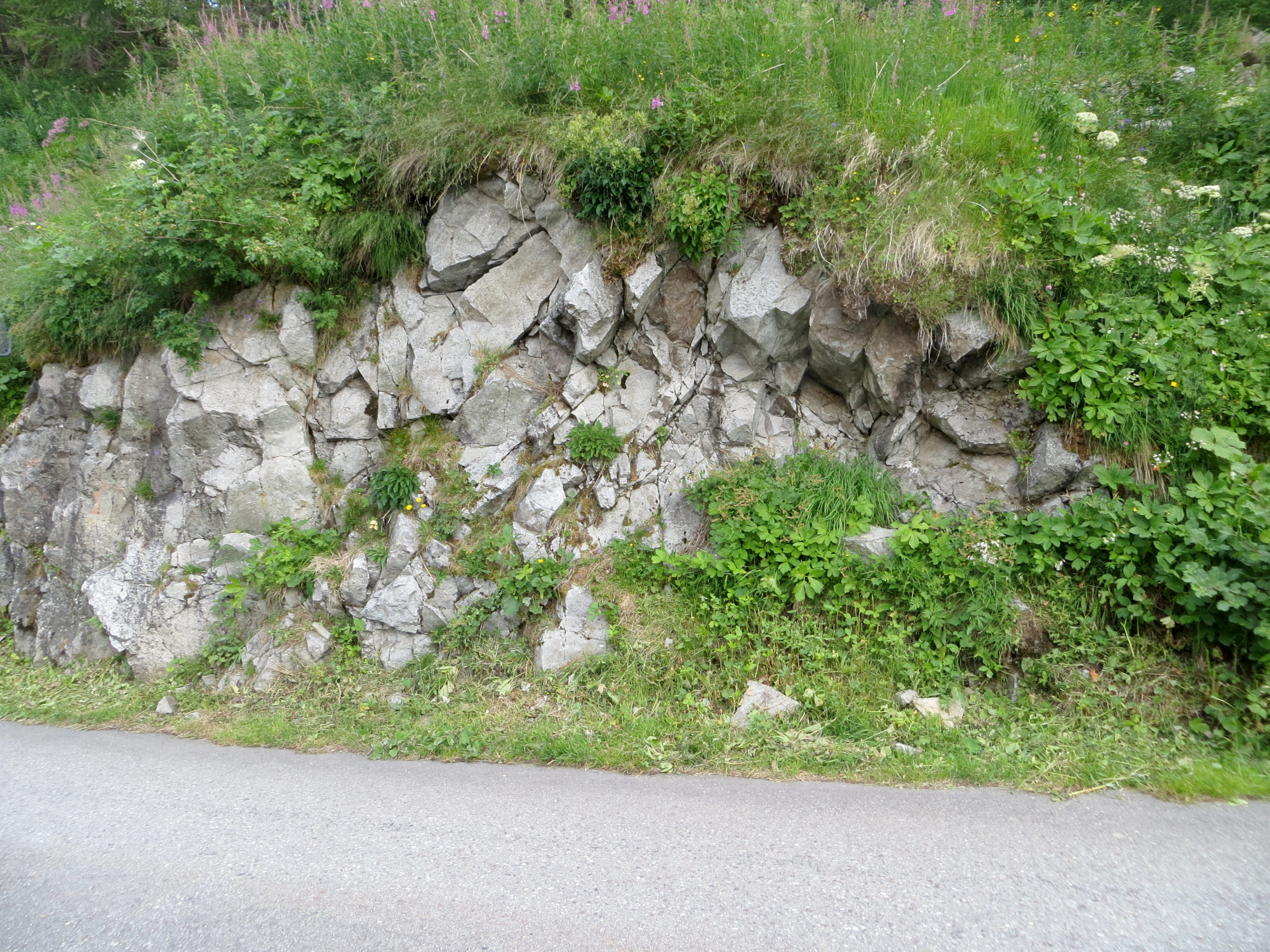 Granite Granite de Vallorcine Alpes Massif des Aiguilles Rouges Finhaut Lac d’Émosson