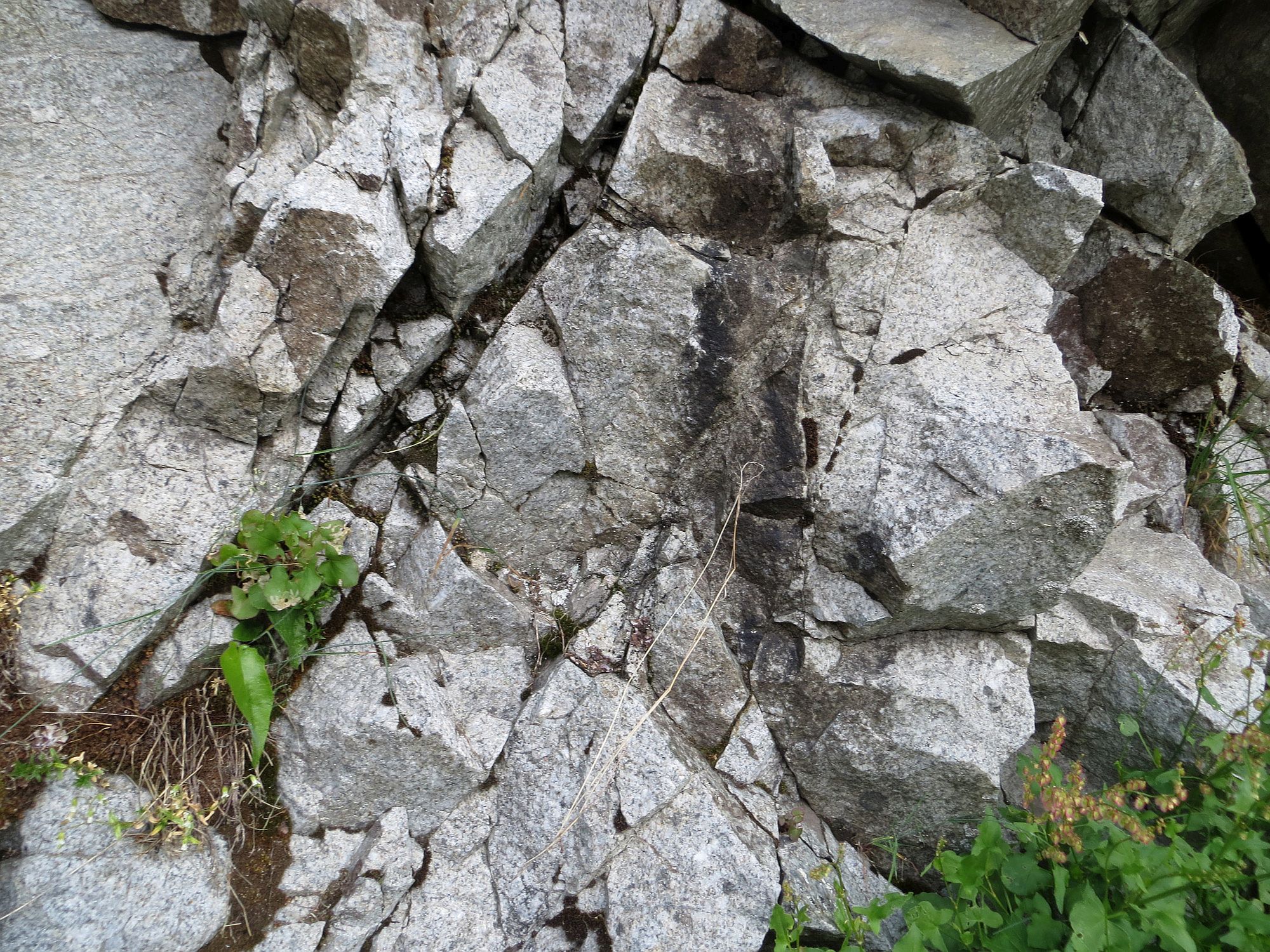 Granite Granite de Vallorcine Alpes Massif des Aiguilles Rouges Finhaut Lac d’Émosson