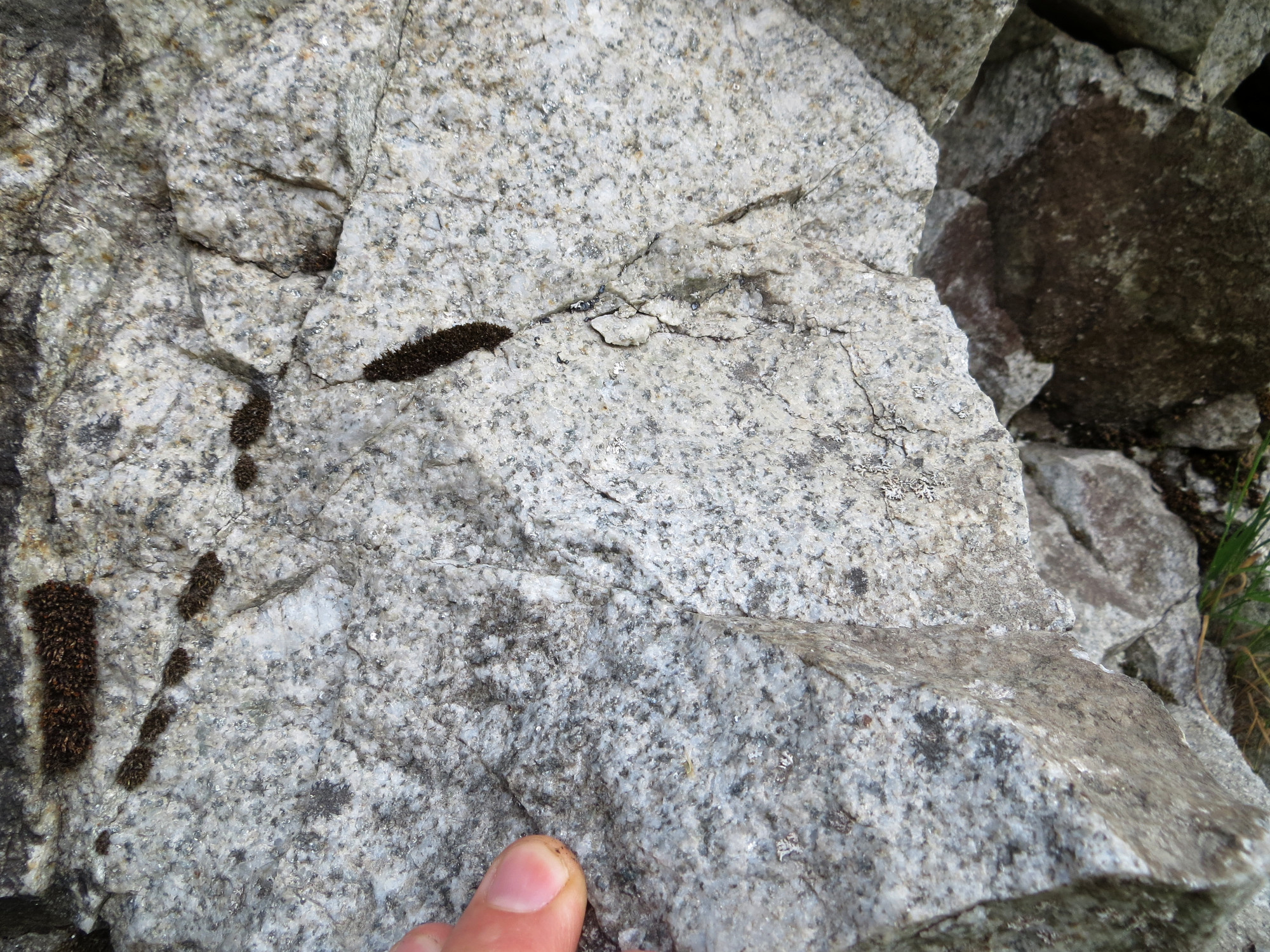 Granite Granite de Vallorcine Alpes Massif des Aiguilles Rouges Finhaut Lac d’Émosson