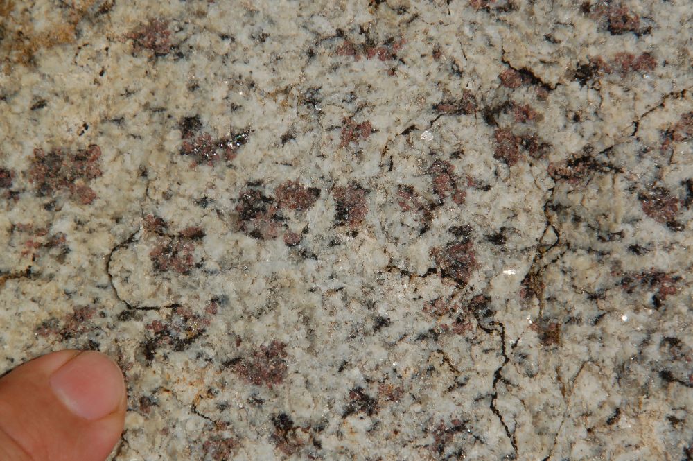 Charnockite Granite anatectique à grenat et orthopyroxène Pyrénées Massif de l’Agly Ansignan Les Albas