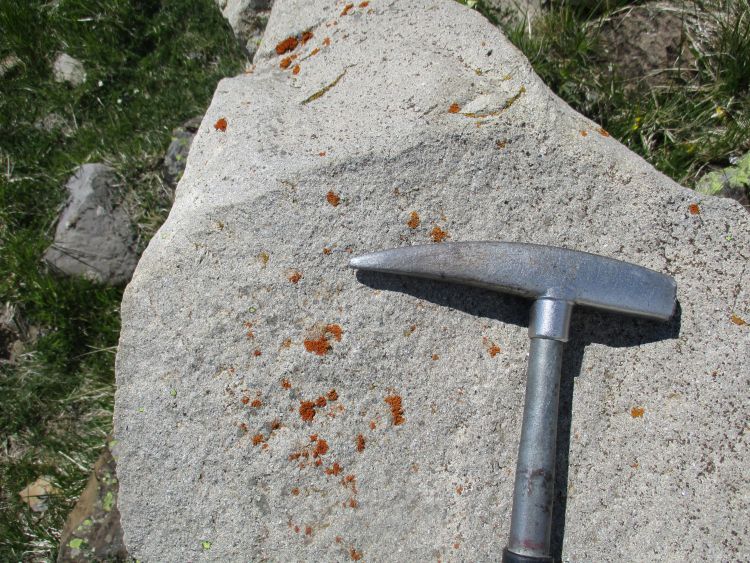 Turbidite gréseuse Grès et brèches du Champsaur Alpes Champsaur Ancelle Saint-Philippe