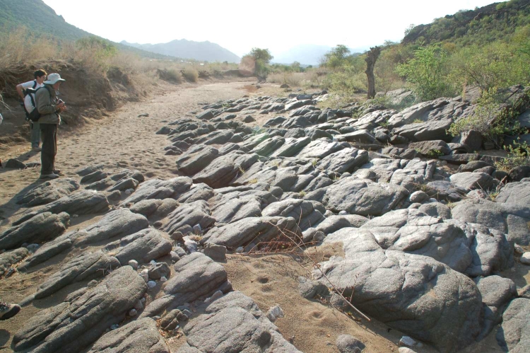 Péridotite Péridotite du complexe magmatique du Bushveld Bushveld Bushveld, Zone inférieure Bogalatladi Jagdlust Mine