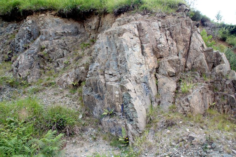 Lherzolite Lherzolite Pyrénées  Lourdios-Ichère Tos de la Coustelle