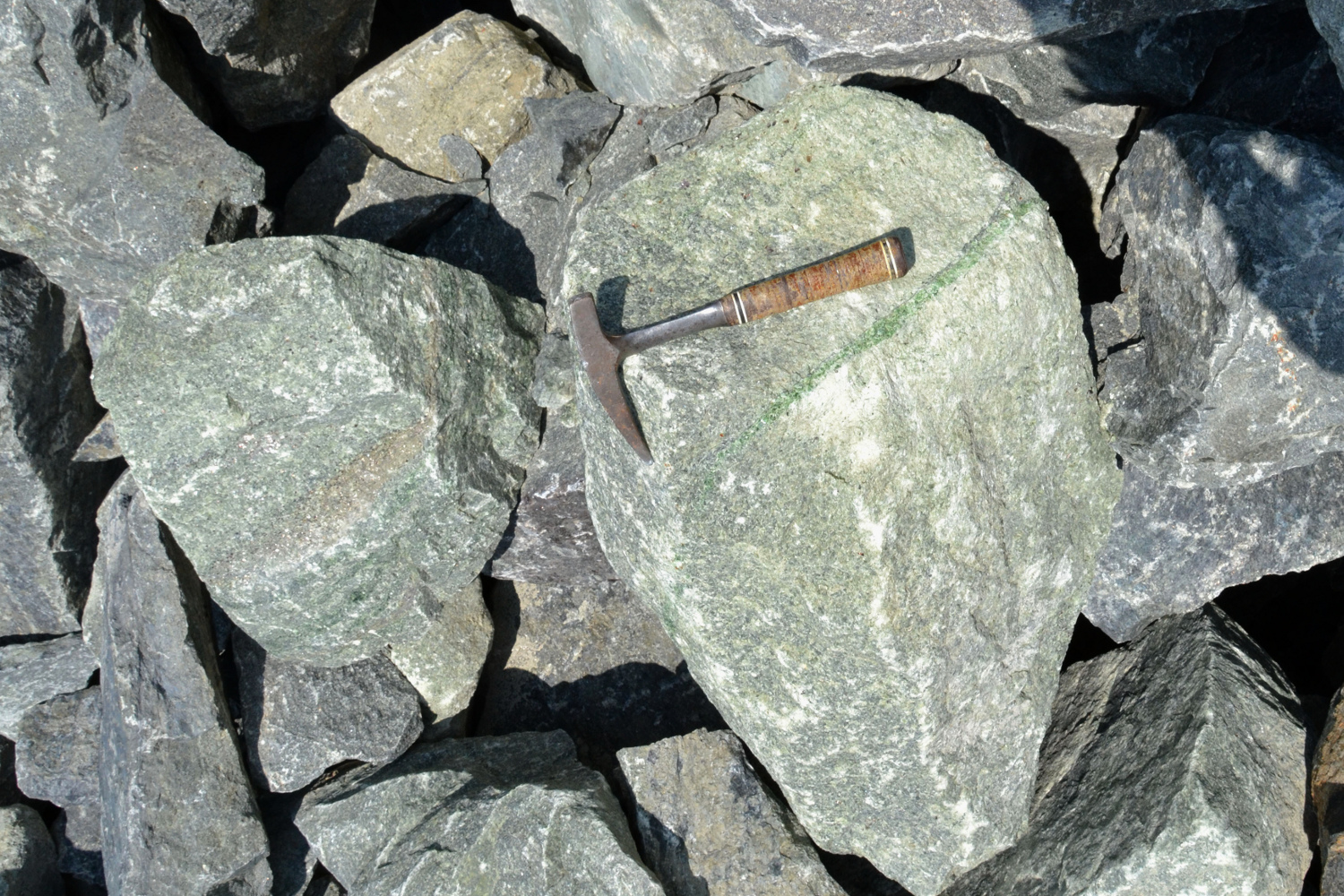 Lherzolite à phlogopite et filon de websterite à diopside Péridotite de Finero Alpes Massif péridotitique de Finero  
