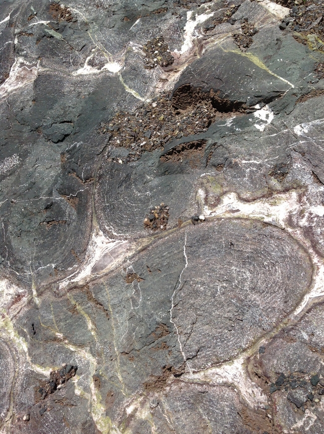 Méta-basalte à épidote et calcite Fragment de pillow lava hydrothermalisé Pyrénées  Eibar 
