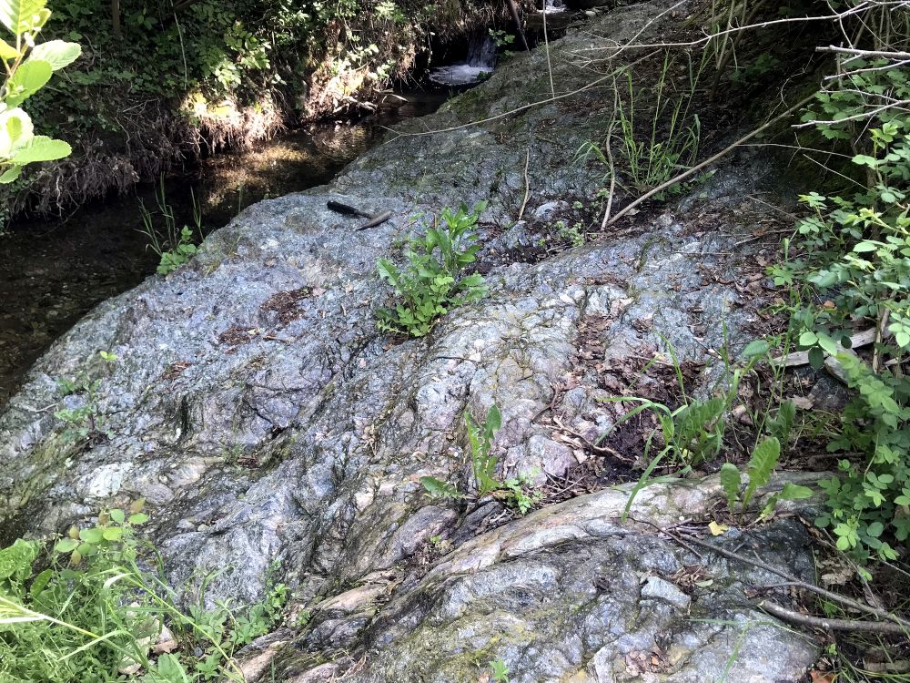 Serpentinite Serpentinite Alpes Groupe ophiolitique de Voltri  