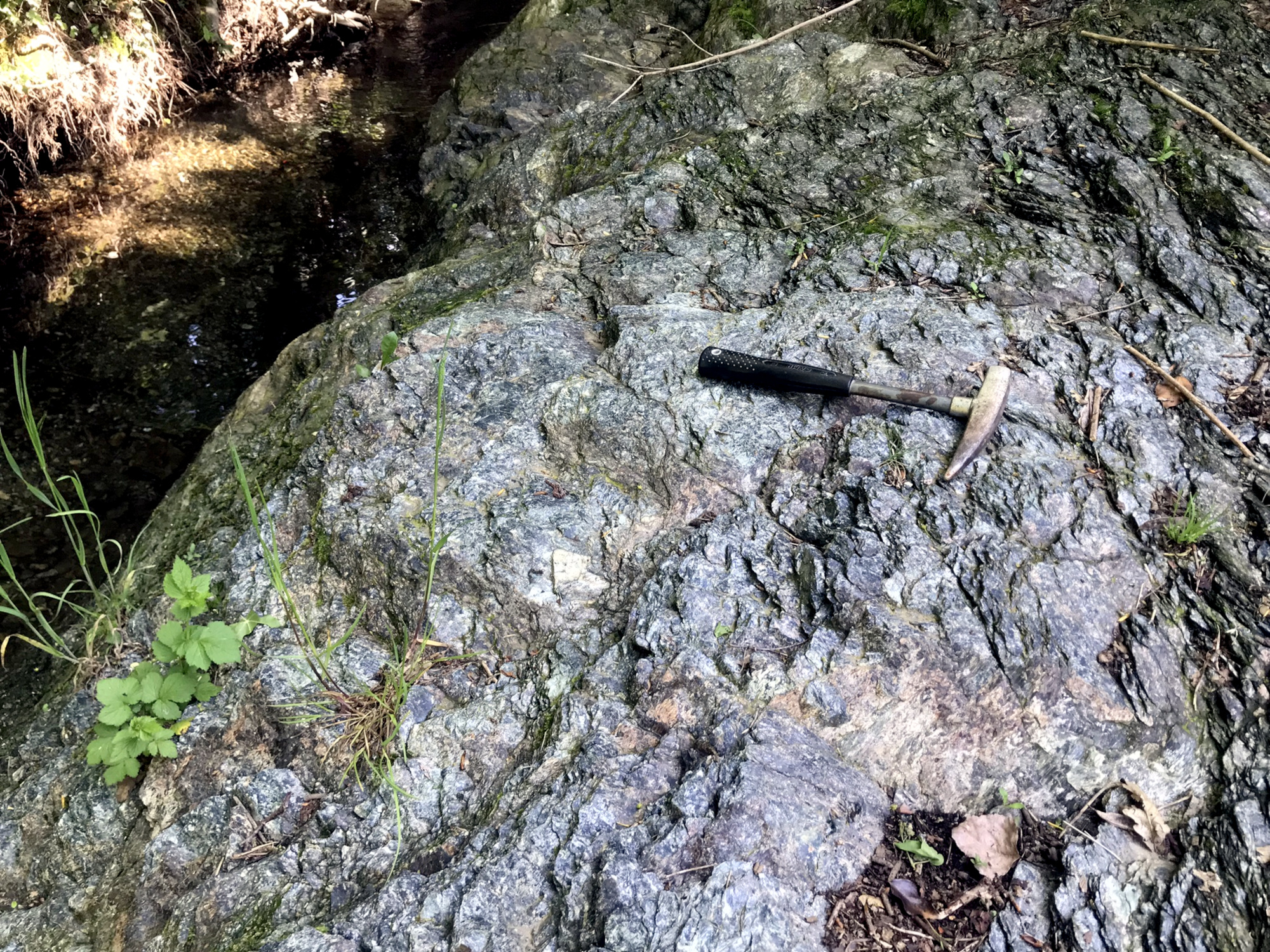 Serpentinite Serpentinite Alpes Groupe ophiolitique de Voltri  