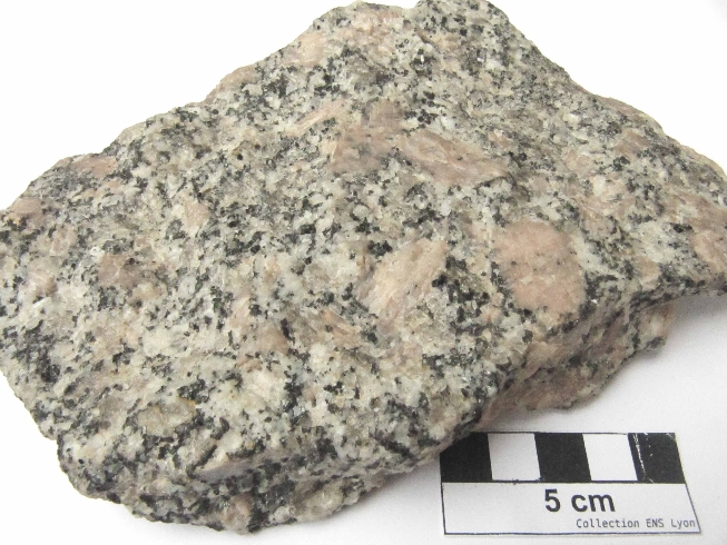 Granite porphyroïde rose Granite de l’Aber-Ildut Massif armoricain  Lanidult Proximité de Kerzéven