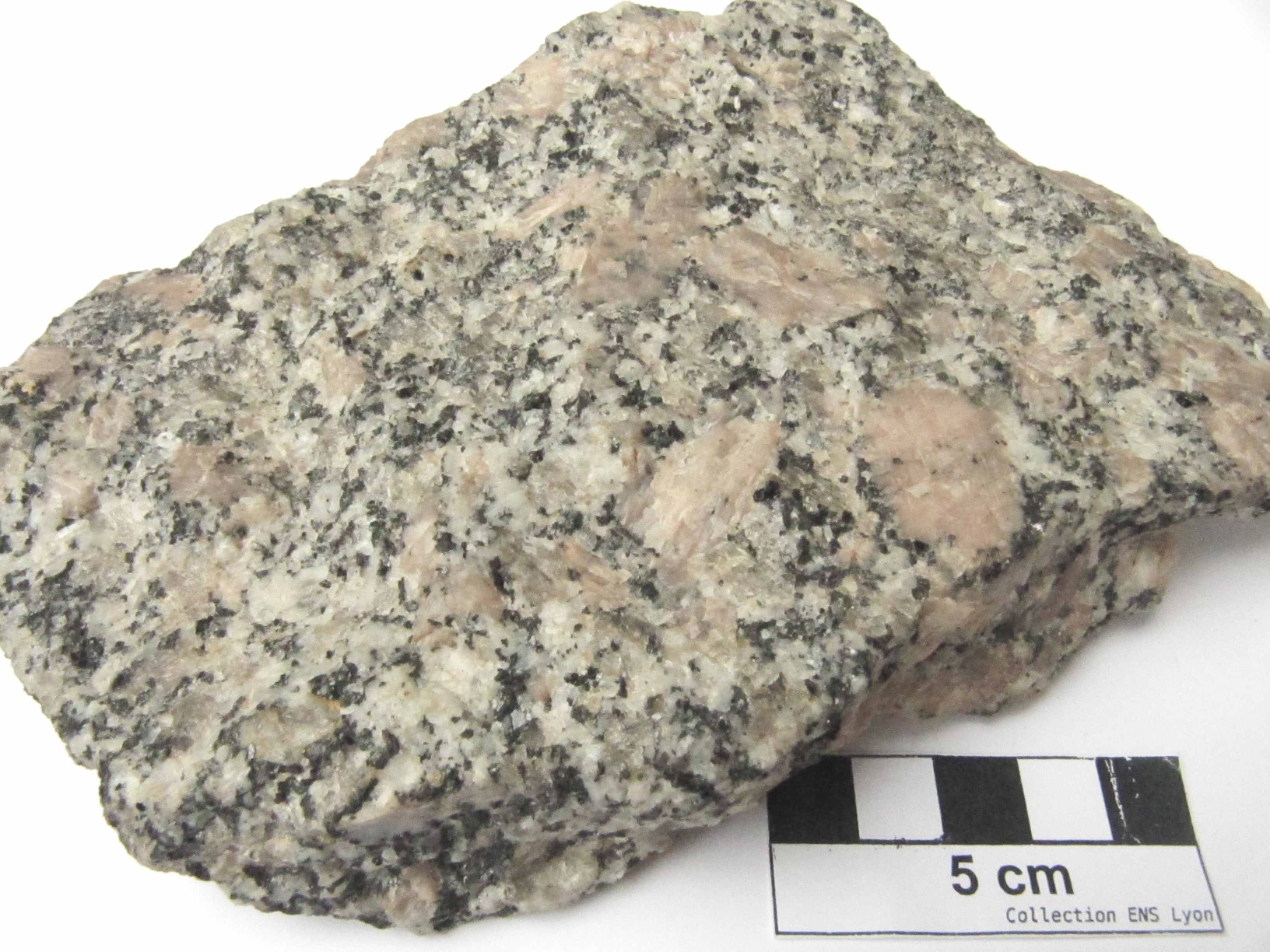 Granite porphyroïde rose (Granite de l’AberIldut) Granite porphyroïde rose (Granite de l’AberIldut)