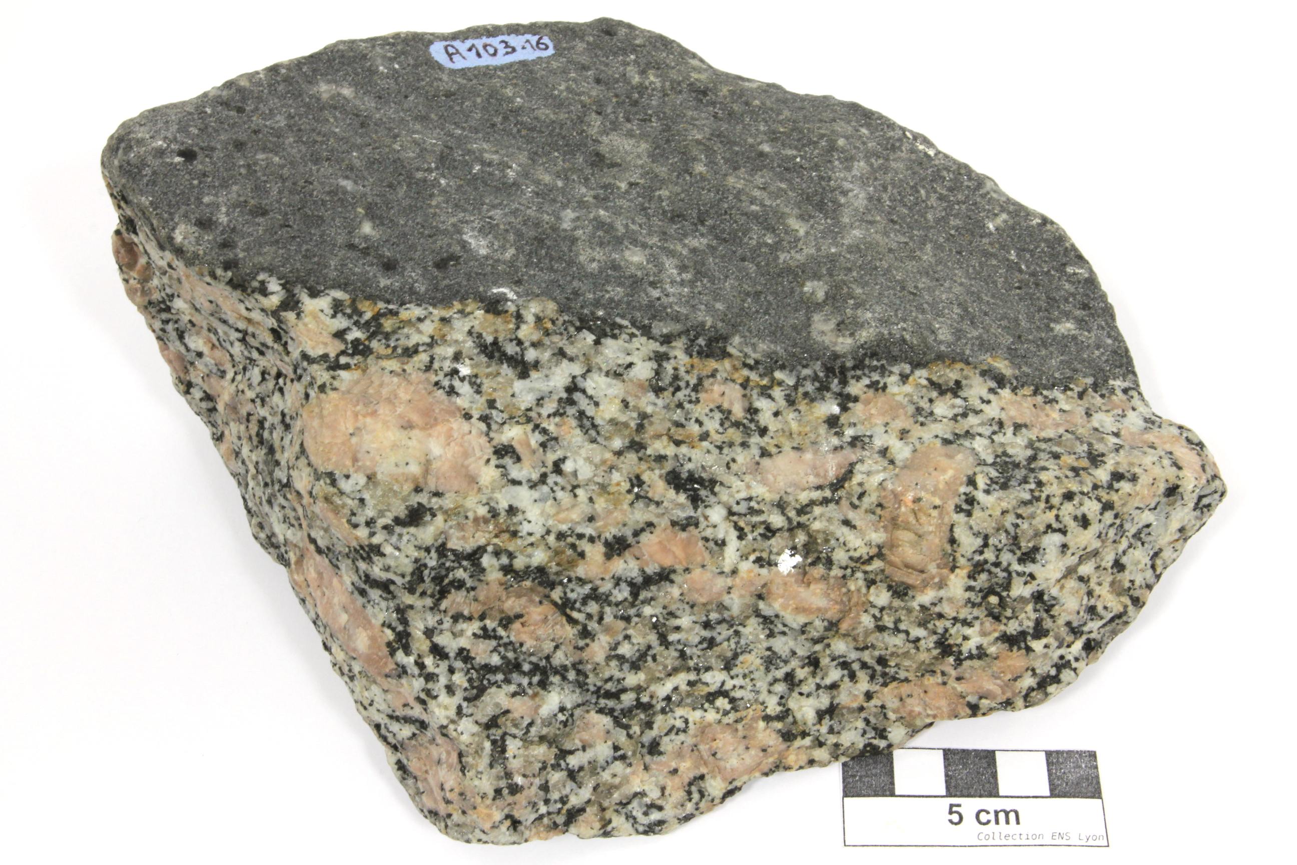 Granite porphyroïde à enclave basique microgrenue Granite de l’Aber-Ildut Massif armoricain  Lanidult Proximité de Kerzéven