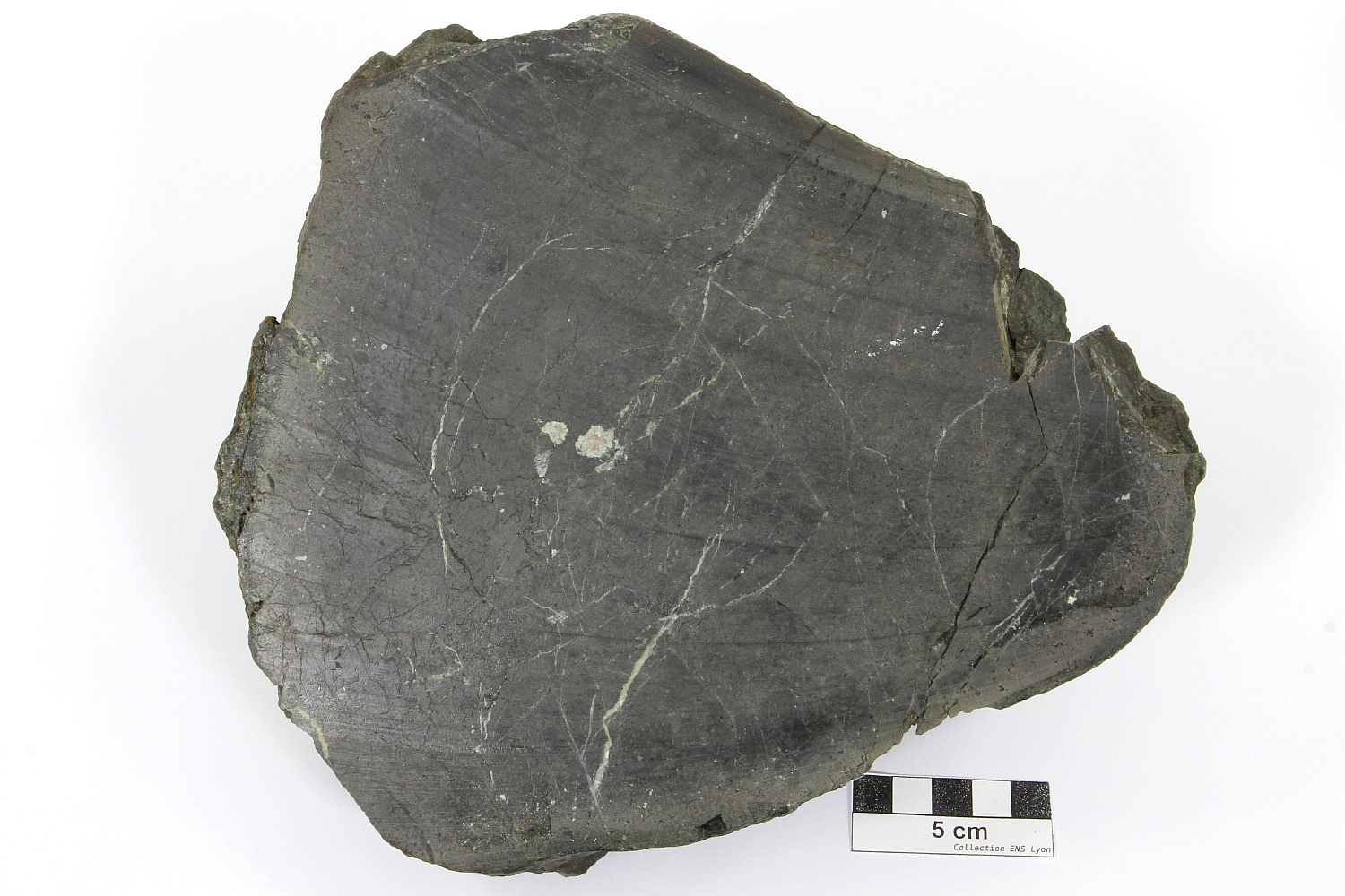 Basalte spilitique Fragment de pillow lava Massif armoricain  Lohuec 