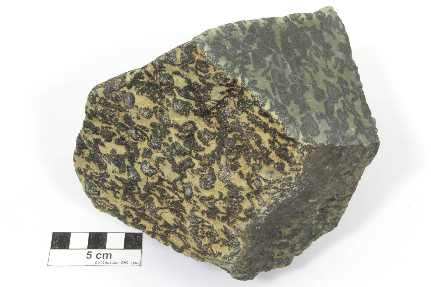 Chromite et serpentine Chromitite de l’ophiolite de Chamrousse Alpes Ophiolite de Chamrousse Chamrousse Proximité du col des Lessines