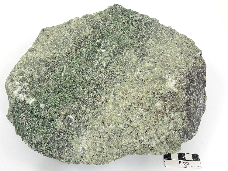 Lherzolite à phlogopite et filon de websterite à diopside Péridotite de Finero Alpes Massif péridotitique de Finero  