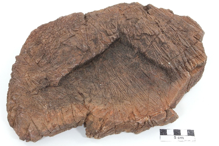 Komatiite Komatiite Ceinture de Barberton Komati valley Tjakastad 