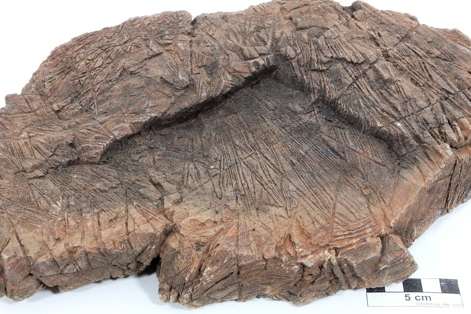 Komatiite Komatiite Ceinture de Barberton Komati valley Tjakastad 