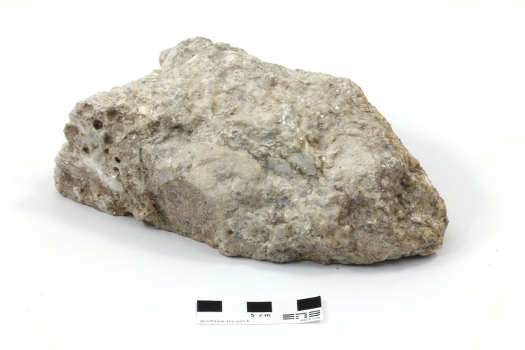 Méta-quartzite à coésite, disthène, pyrope et phengite Schiste blanc de  Dora Maira Alpes Province de Coni Martiniana Po 