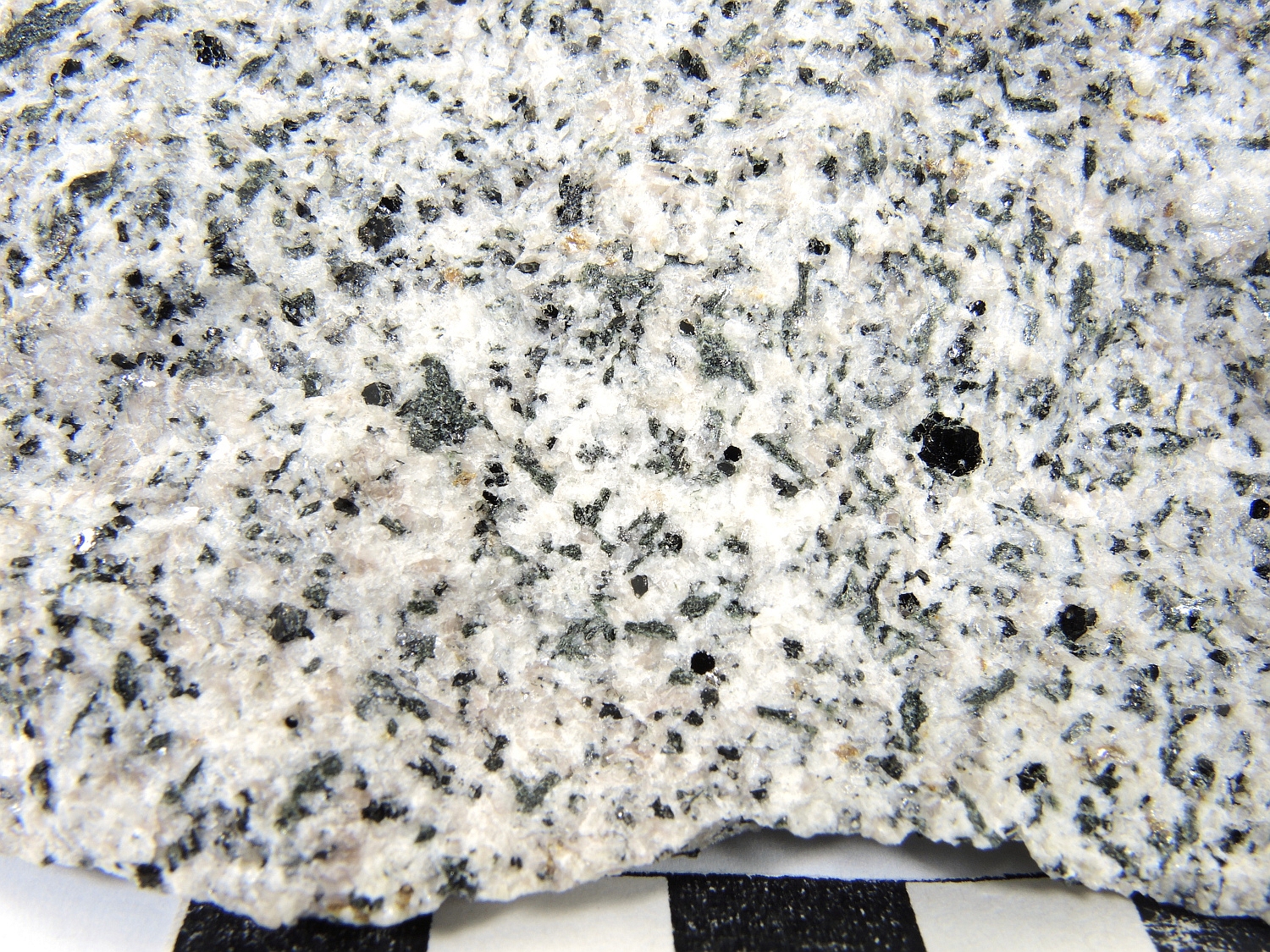 Granodiorite Granodiorite de Traversella Alpes  Traversella 