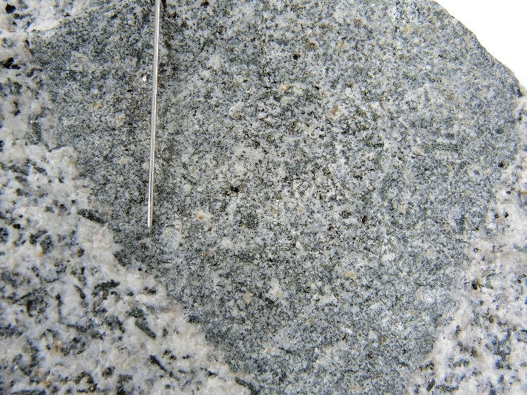 Granodiorite Granodiorite de Traversella Alpes  Traversella 