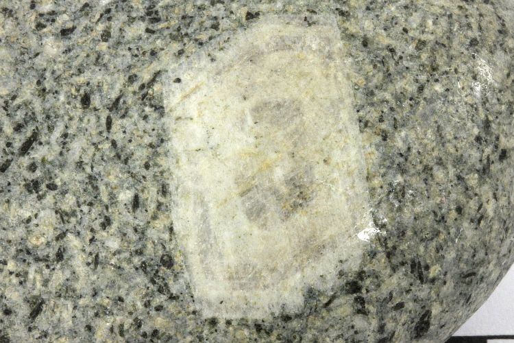 Plagioclase zoné Cristal de plagioclase à zonation chimique dans une dacite Provence Massif de l’Estérel Le Drammont 